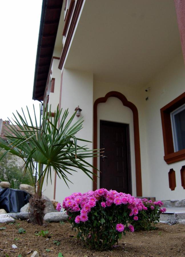 Vila Phoenix คาลิมาเนช ภายนอก รูปภาพ